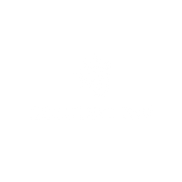 leathersons